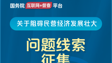 操穴大黄片国务院“互联网+督查”平台公开征集阻碍民营经济发展壮大问题线索